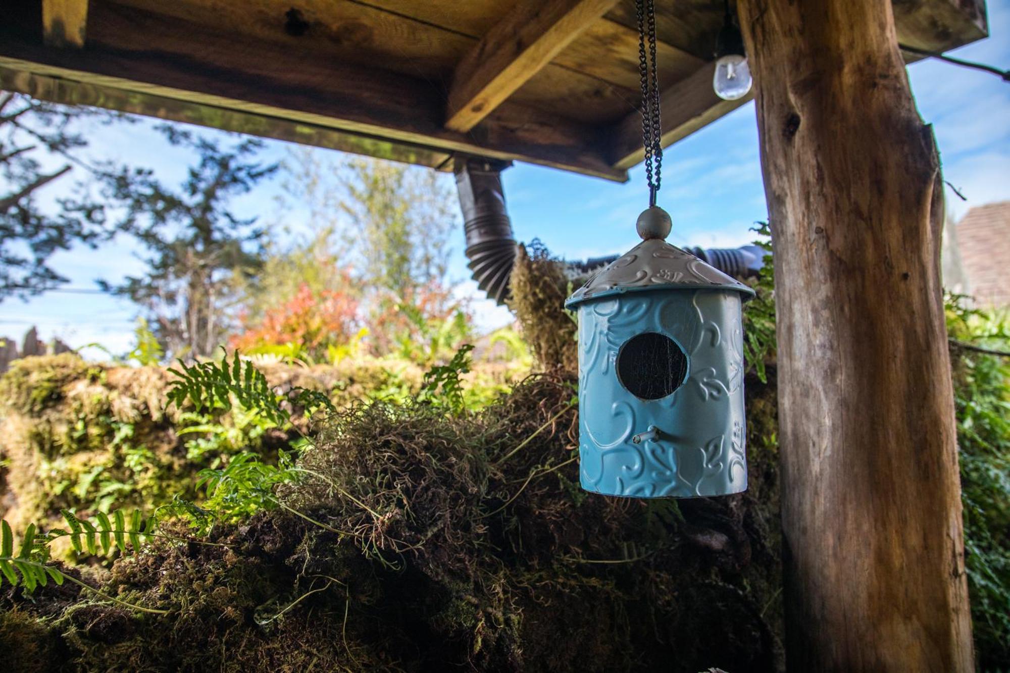 The Front Porch Hidden Oasis Hotell Arcata Exteriör bild